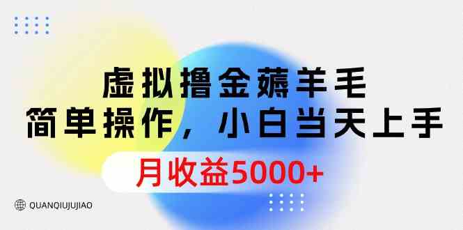 图片[1]-（9864期）虚拟撸金薅羊毛，简单操作，小白当天上手，月收益5000+-飓风网创资源站