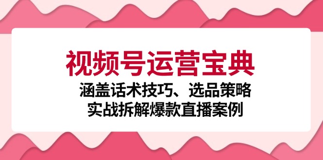 图片[1]-（12808期）视频号运营宝典：涵盖话术技巧、选品策略、实战拆解爆款直播案例-飓风网创资源站