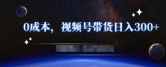 零基础视频号带货赚钱项目，0成本0门槛轻松日入300+【视频教程】￼-小哥网