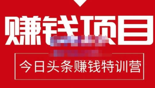 懒人领域·今日头条项目玩法，头条中视频项目，单号收益在50—500可批量￼-小哥网