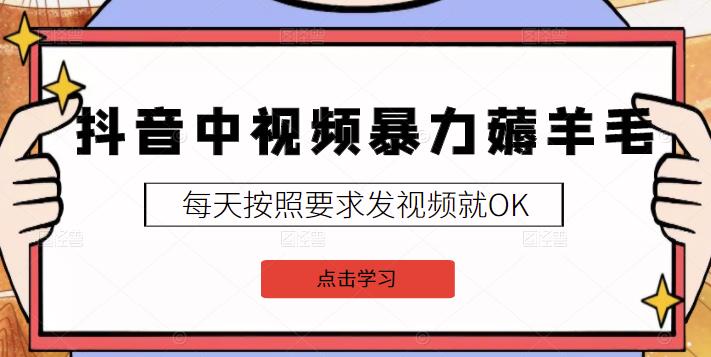 2022抖音中视频暴力薅羊毛白嫖项目：新号每天20块，老号几天几百块，可多号￼-小哥网