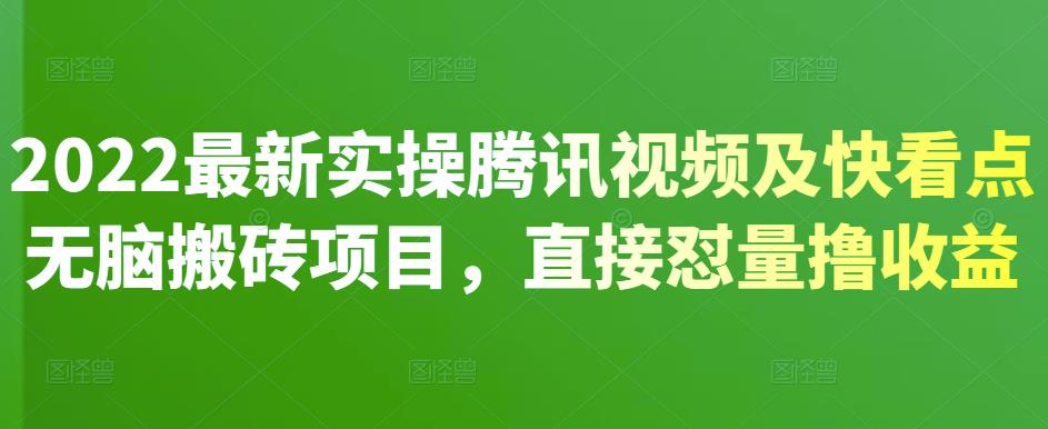 2022最新实操腾讯视频及快看点无脑搬砖项目，直接怼量撸收益￼-小哥网