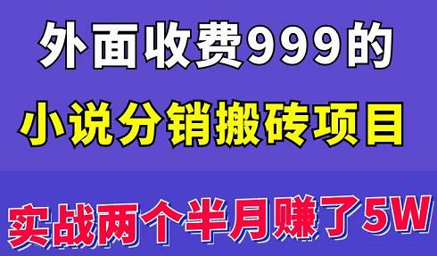 外面收费999的小说分销搬砖项目：实战两个半月赚了5W块，操作简单！￼-小哥网