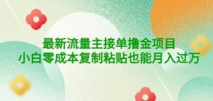 公众号最新流量主接单撸金项目，小白零成本复制粘贴也能月入过万￼￼-小哥网