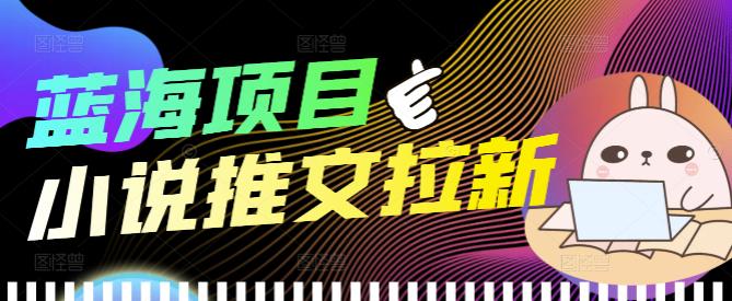 外面收费6880的小说推文拉新项目，个人工作室可批量做【详细教程】￼-小哥网