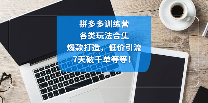 拼多多训练营：各玩法合集，爆款打造，低价引流，7天破千单等等！-小哥网