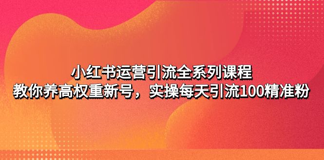 小红书运营引流全系列课程：教你养高权重新号，实操每天引流100精准粉-小哥网