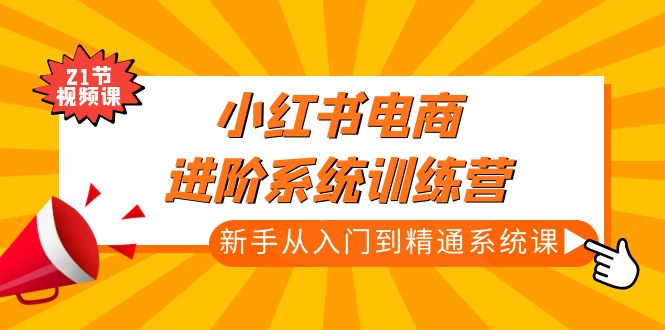 小红书电商进阶系统训练营：新手从入门到精通系统课（21节视频课）-小哥网