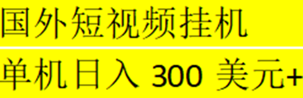 海外暴力短视频挂机全自动撸美金 单机日入300美元+【脚本免费+一对一指导】-时尚博客