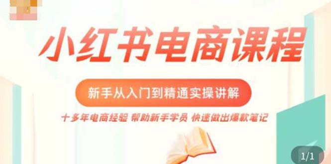 小红书电商新手入门到精通实操课，从入门到精通做爆款笔记，开店运营-小哥网