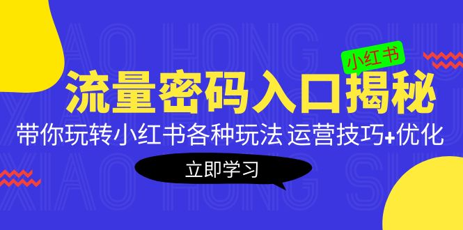 小红书流量密码入口揭秘：带你玩转小红书各种玩法 运营技巧+优化！-小哥网