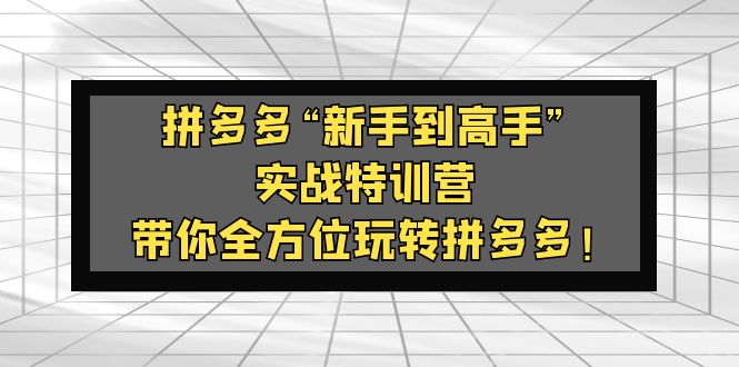 拼多多“新手到高手”实战特训营：带你全方位玩转拼多多！-小哥网