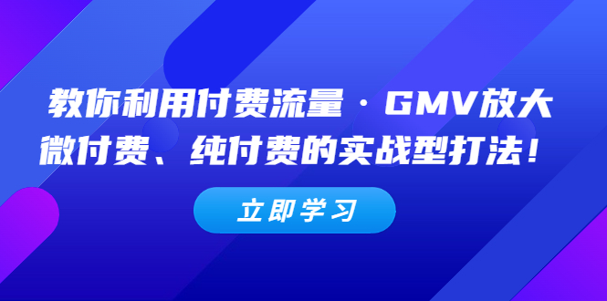 教你利用付费流量·GMV放大，微付费、纯付费的实战型打法！-小哥网