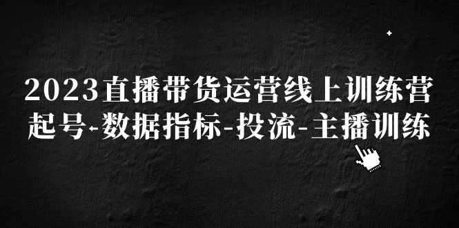 2023直播带货运营线上训练营，起号-数据指标-投流-主播训练-小哥网