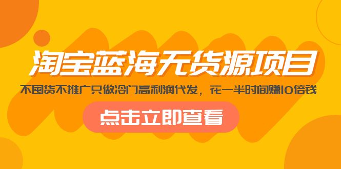 淘宝蓝海无货源项目，不囤货不推广只做冷门高利润代发，花一半时间赚10倍钱-小哥网