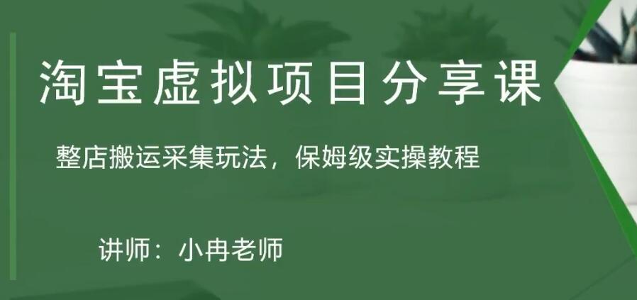 淘宝虚拟整店搬运采集玩法分享课：整店搬运采集玩法，保姆级实操教程-小哥网