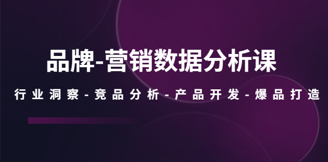 品牌-营销数据分析课，行业洞察-竞品分析-产品开发-爆品打造-小哥网