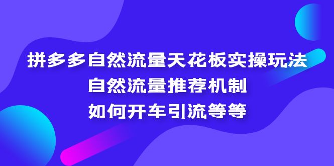 拼多多自然流量天花板实操玩法：自然流量推荐机制，如何开车引流等等-小哥网