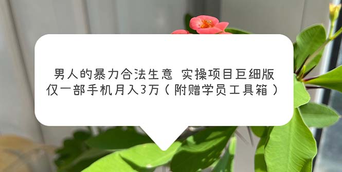 男人的暴力合法生意实操项目巨细版：仅一部手机月入3w（附赠学员工具箱）-小哥网