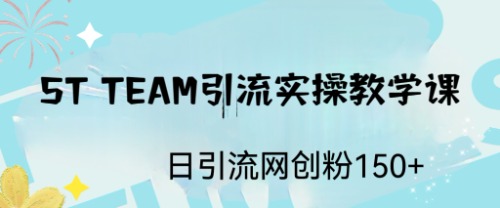 ST TEAM引流实操课，日引流网创粉100+-小哥网