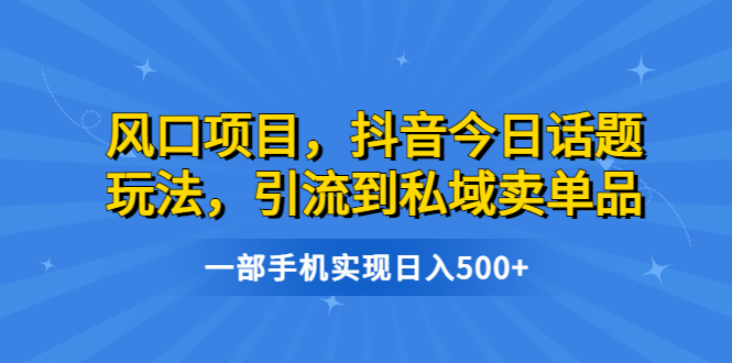 风口项目，抖音今日话题玩法，引流到私域卖单品，一部手机实现日入500+-小哥网