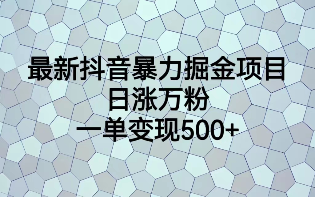 最新抖音暴力掘金项目，日涨万粉，一单变现500+-小哥网