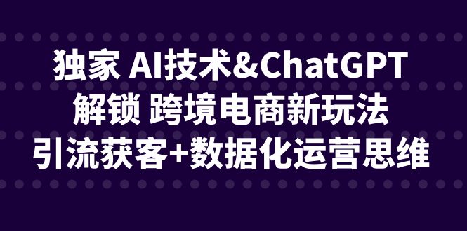 独家 AI技术&ChatGPT解锁 跨境电商新玩法，引流获客+数据化运营思维-小哥网