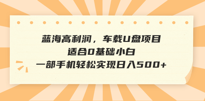 蓝海高利润，车载U盘项目，适合0基础小白，一部手机轻松实现日入500+-小哥网