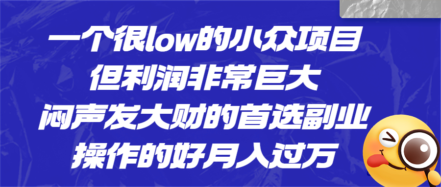 一个很low的小众项目，但利润非常巨大，闷声发大财的首选副业，月入过万-小哥网