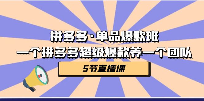 拼多多·单品爆款班，一个拼多多超级爆款养一个团队（5节直播课）-小哥网