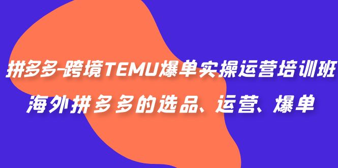 拼多多-跨境TEMU爆单实操运营培训班，海外拼多多的选品、运营、爆单-小哥网