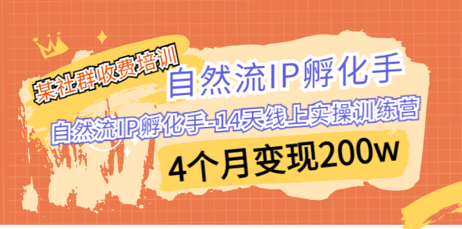 某社群收费培训：自然流IP 孵化手-14天线上实操训练营 4个月变现200w-小哥网