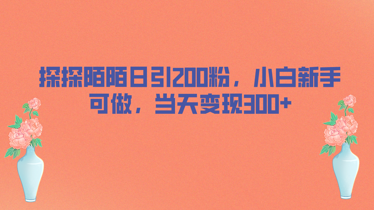 探探陌陌日引200粉，小白新手可做，当天就能变现300+-小哥网