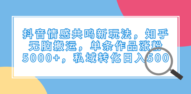 抖音情感共鸣新玩法，知乎无脑搬运，单条作品涨粉5000+，私域转化日入500-小哥网