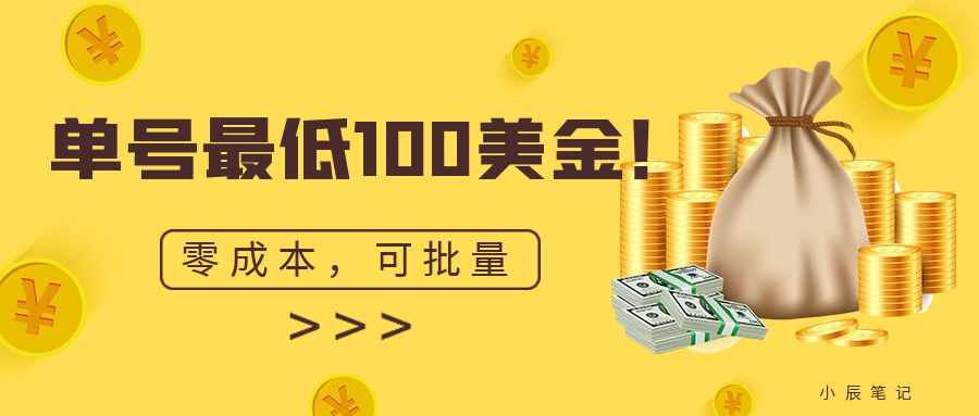 单号最低100美金，零成本，小白无脑操作。可复制，可扩大。-小哥网