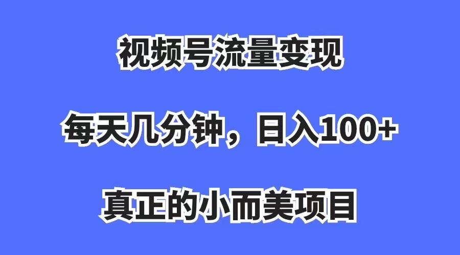 视频号流量变现，每天几分钟，收入100+，真正的小而美项目-小哥网