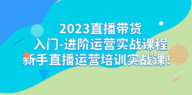 2023直播带货入门-进阶运营实战课程：新手直播运营培训实战课！-小哥网