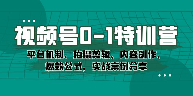 视频号0-1特训营：平台机制、拍摄剪辑、内容创作、爆款公式，实战案例分享-小哥网