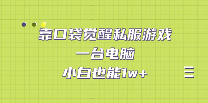 靠口袋觉醒私服游戏，一台电脑，小白也能1w+（教程+工具+资料）-小哥网