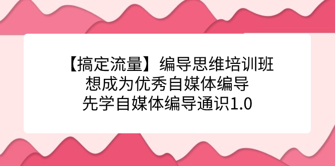 【搞定流量】编导思维培训班，想成为优秀自媒体编导先学自媒体编导通识1.0-小哥网