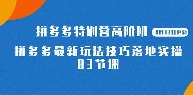 2023拼多多·特训营高阶班【9月19日更新】拼多多最新玩法技巧落地实操-83节-小哥网