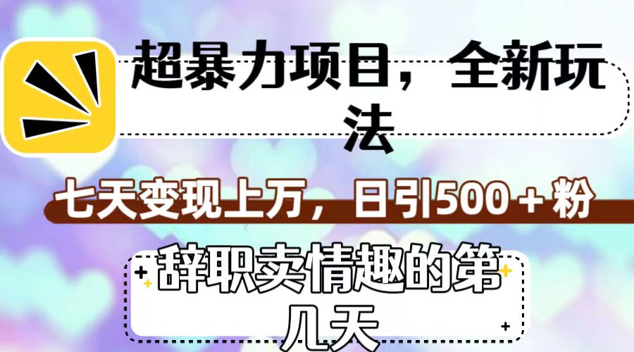 超暴利项目，全新玩法（辞职卖情趣的第几天），七天变现上万，日引500+粉-小哥网