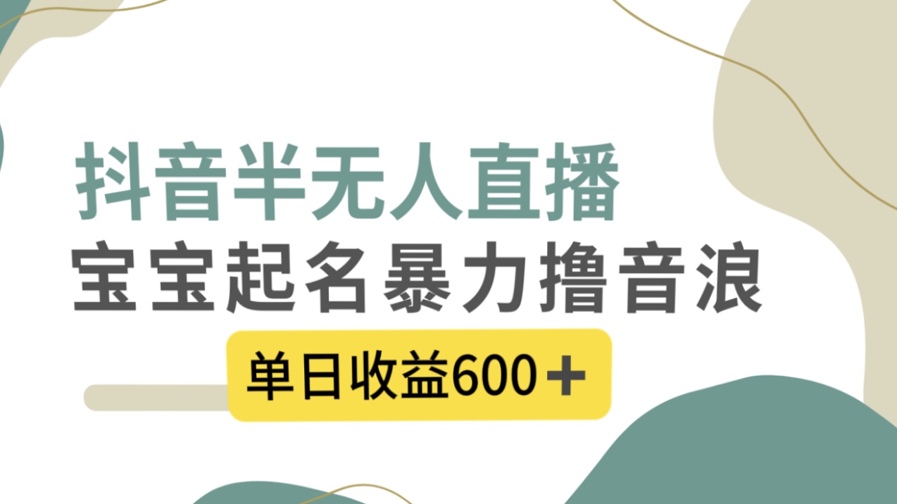 抖音半无人直播，宝宝起名，暴力撸音浪，单日收益600+-小哥网