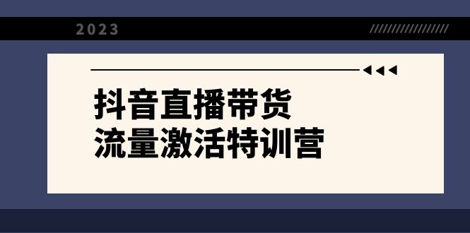 抖音直播带货-流量激活特训营，入行新手小白主播必学（21节课+资料）-小哥网