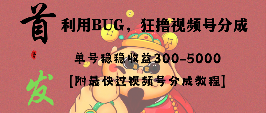 全网独家首发，视频号BUG，超短期项目，单号每日净收益300-5000！-小哥网