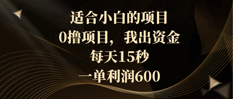 适合小白的项目，0撸项目，我出资金，每天15秒，一单利润600-小哥网