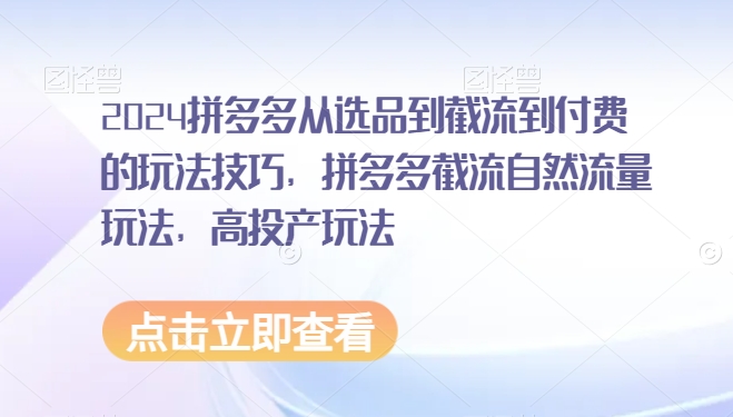 2024拼多多从选品到截流到付费的玩法技巧，拼多多截流自然流量玩法，高投产玩法-小哥网