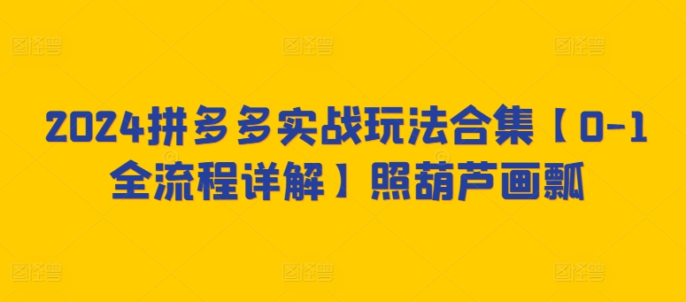 2024拼多多实战玩法合集【0-1全流程详解】照葫芦画瓢-小哥网