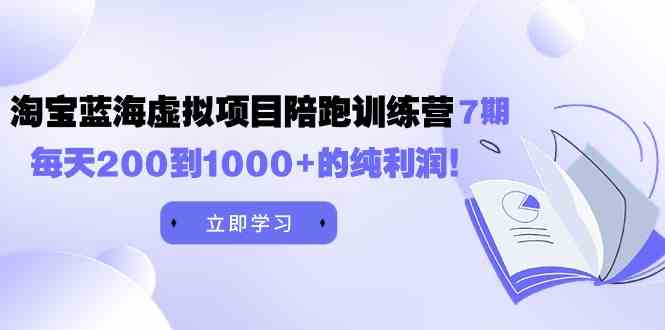 图片[1]-（9541期）黄岛主《淘宝蓝海虚拟项目陪跑训练营7期》每天200到1000+的纯利润-飓风网创资源站