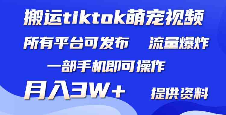 （9618期）搬运Tiktok萌宠类视频，一部手机即可。所有短视频平台均可操作，月入3W+-南丰网创